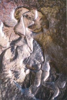 Click to view larger image