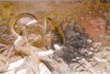 Click to view larger image