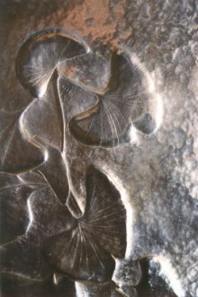 Click to view larger image