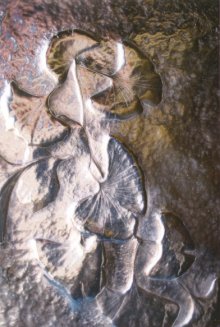 Click to view larger image