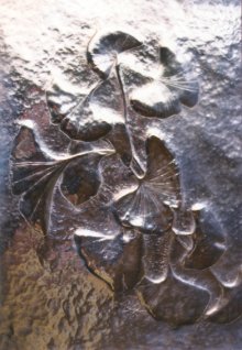 Click to view larger image