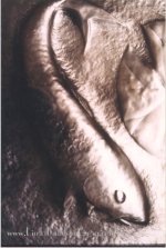 Click to view larger image