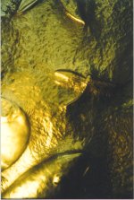 Click to view larger image