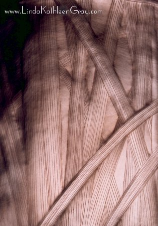 iris_atwork_06_leaves_315x450.jpg (37K)