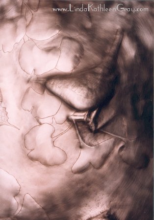 iris_atwork_08_bird_02_314x450.jpg (28K)