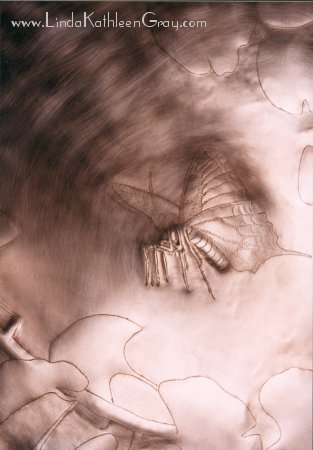 iris_atwork_11_butterfly_01_313x450.jpg (27K)