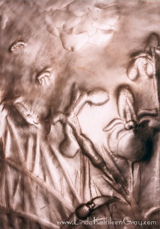 iris_atwork_15_irisflowers_01_314x450.jpg (35K)