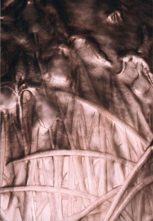 iris_atwork_16_irisflowers_02_312x450.jpg (34K)