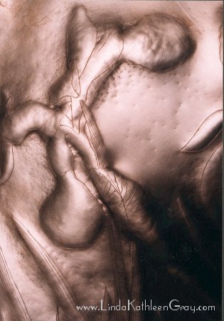 iris_atwork_17_irisflowers_03_315x450.jpg (31K)