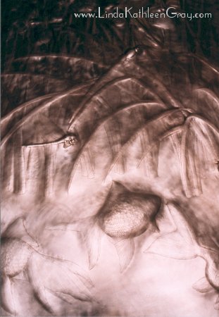 iris_atwork_20_fishdragonfly_01_311x450.jpg (31K)