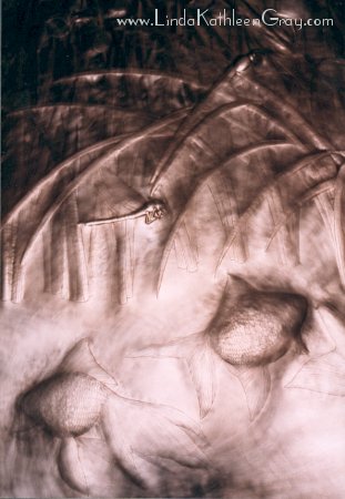 iris_atwork_21_fishdragonfly_02_311x450.jpg (31K)