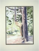 Click to view larger image